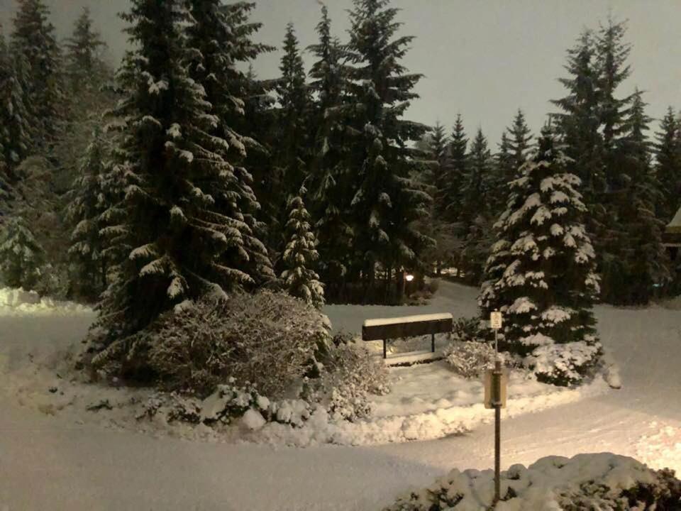 Powderhorn By Whistler Blackcomb Vacation Rentals Exterior foto